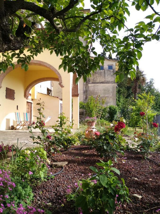Da Vinci Sweet Home Castiglion Fibocchi Eksteriør billede
